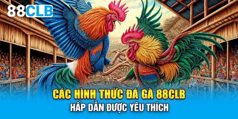 Các hình thức đá gà 88CLB hấp dẫn được yêu thích