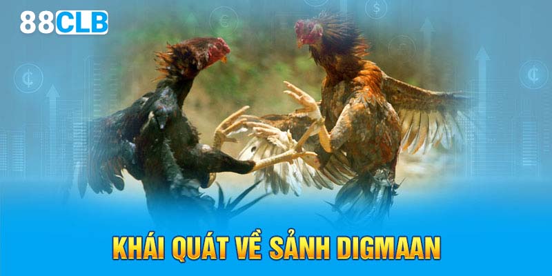 Khái quát về sảnh Digmaan