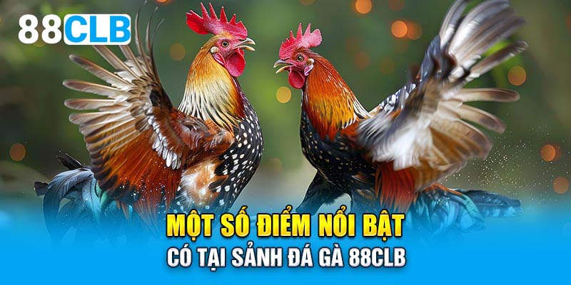 Một số điểm nổi bật có tại sảnh đá gà 88CLB