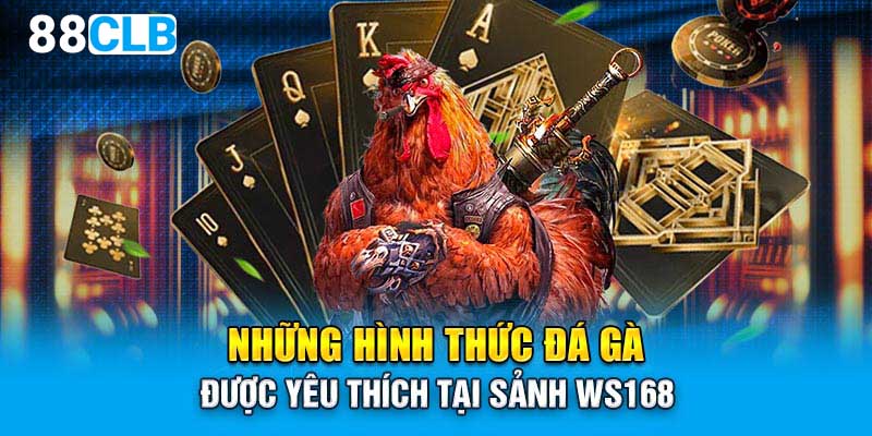 Những hình thức đá gà được yêu thích tại sảnh WS168