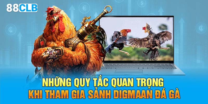 Những quy tắc quan trọng khi tham gia sảnh Digmaan đá gà