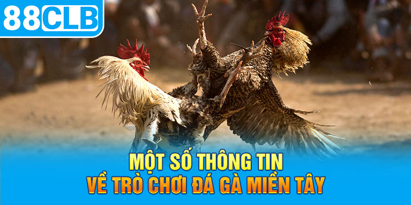 Một số thông tin về trò chơi đá gà miền tây